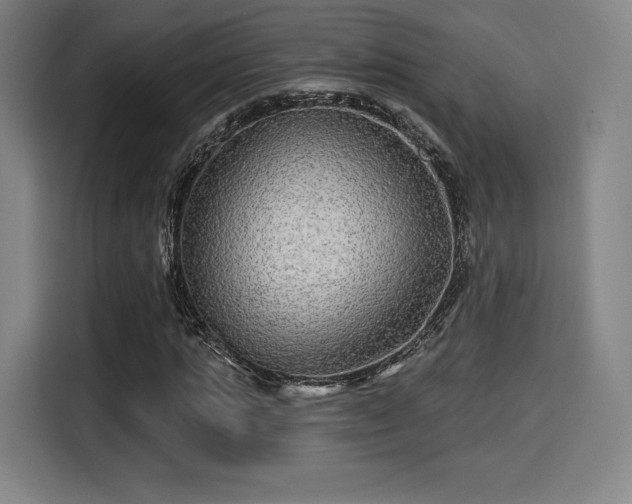 X0000114210821200910161245