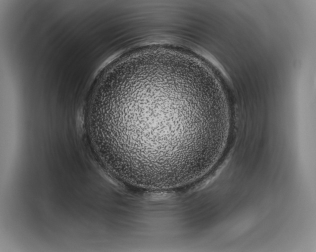 X0000114210826200910161245