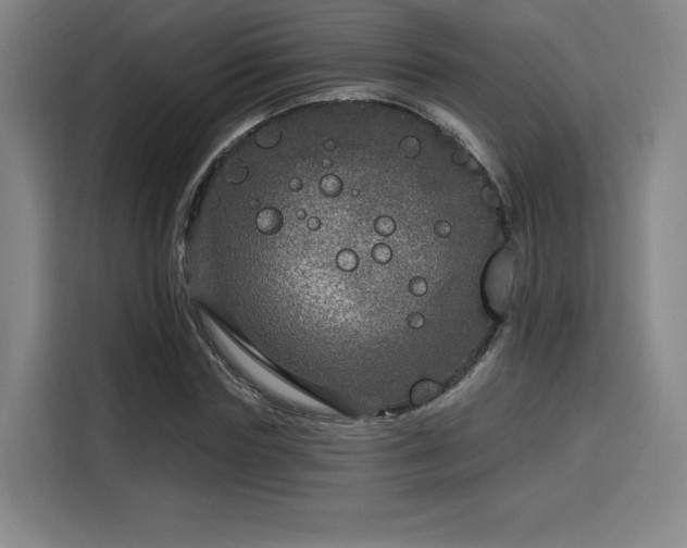X0000114210827200910161245