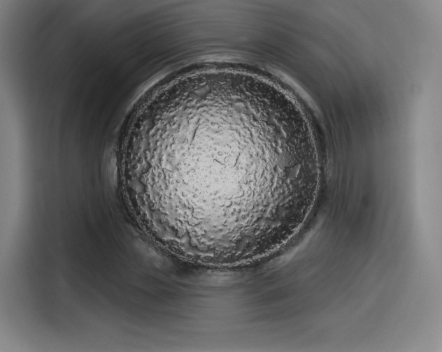X0000114210829200910161246
