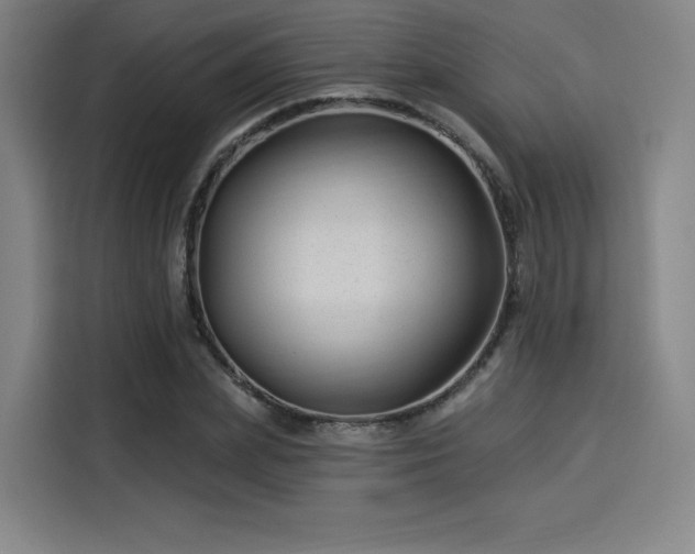 X0000114210831200910161246