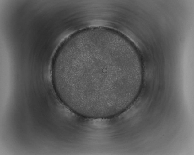 X0000114210832200910161246
