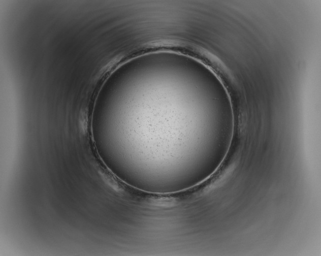 X0000114210833200910161246