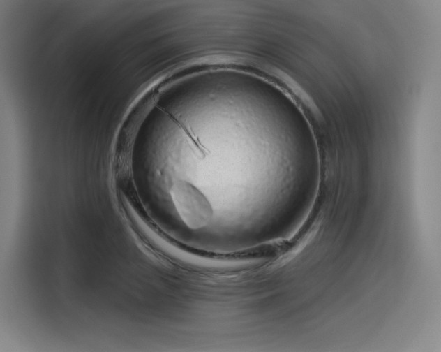 X0000114210837200910161246