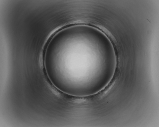 X0000114210838200910161246