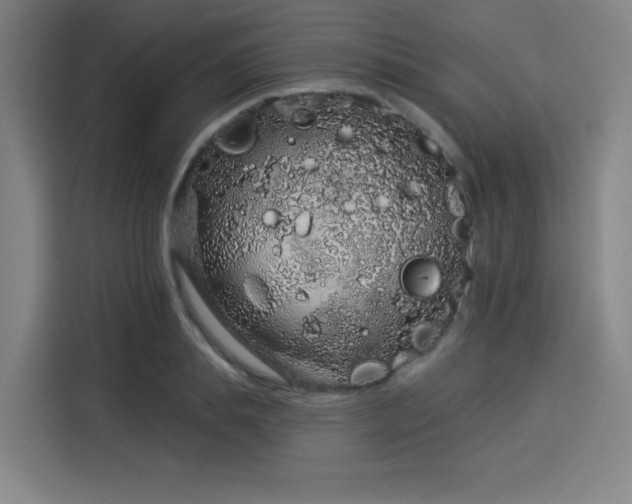 X0000114210839200910161246