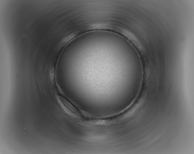 X0000114210841200910161246