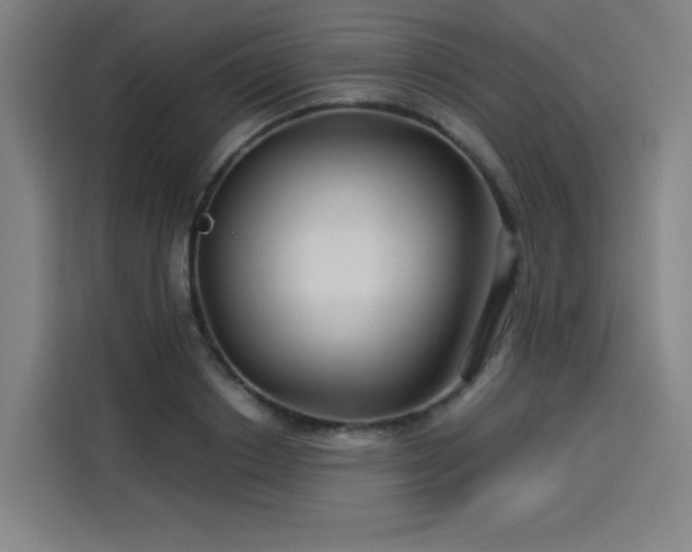 X0000114210842200910161246
