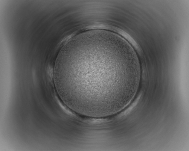 X0000114210849200910161246