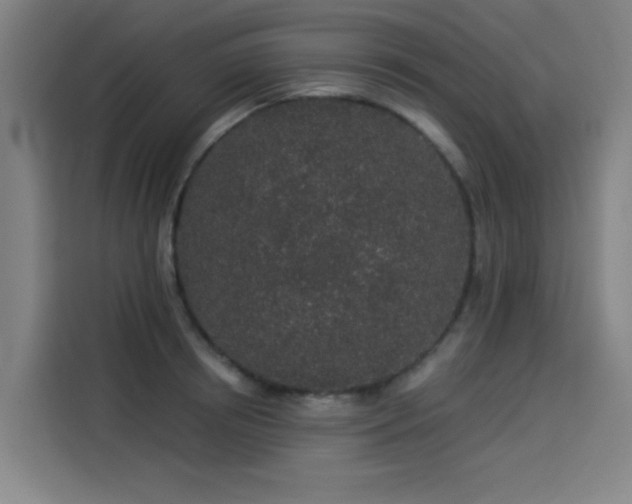 X0000114210850200910161246