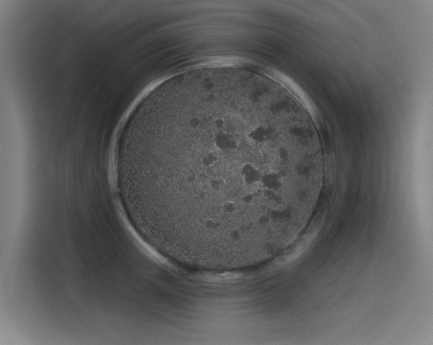 X0000114210851200910161246