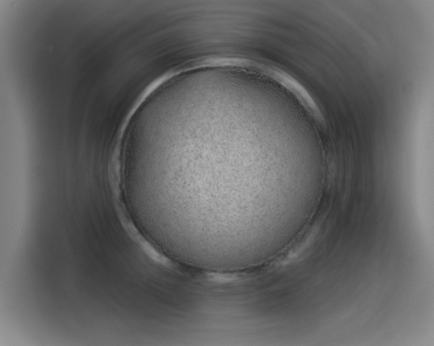 X0000114210852200910161246