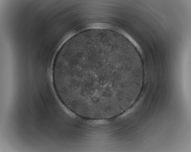 X0000114210853200910161246