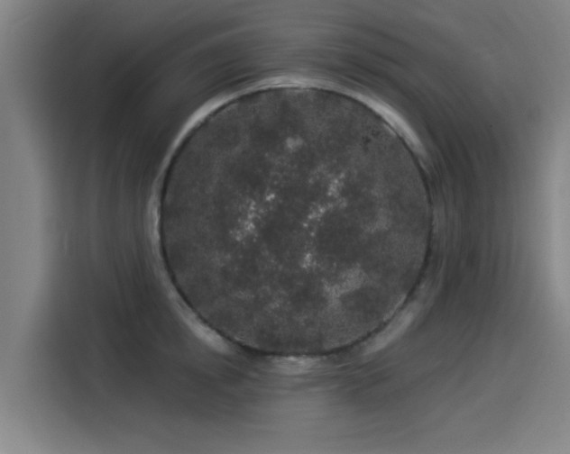 X0000114210854200910161246