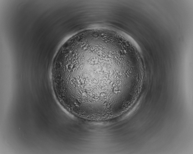 X0000114210855200910161246