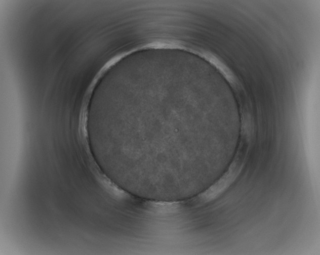 X0000114210856200910161246