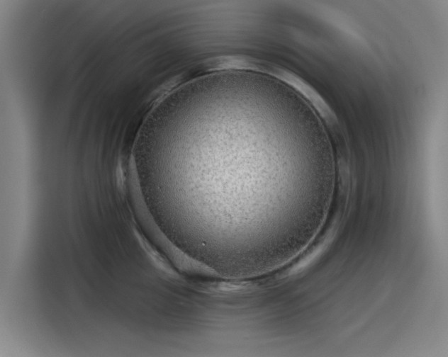 X0000114210857200910161246