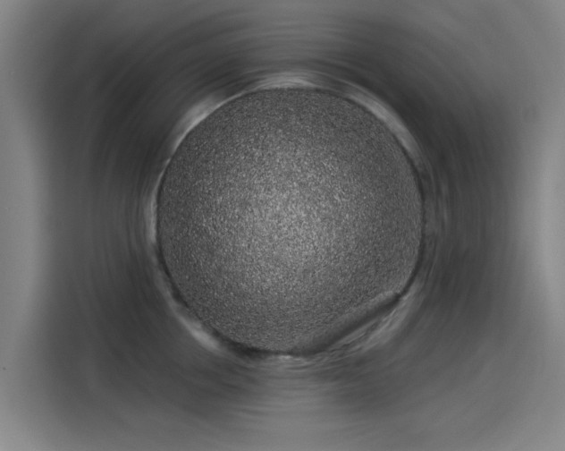 X0000114210858200910161246