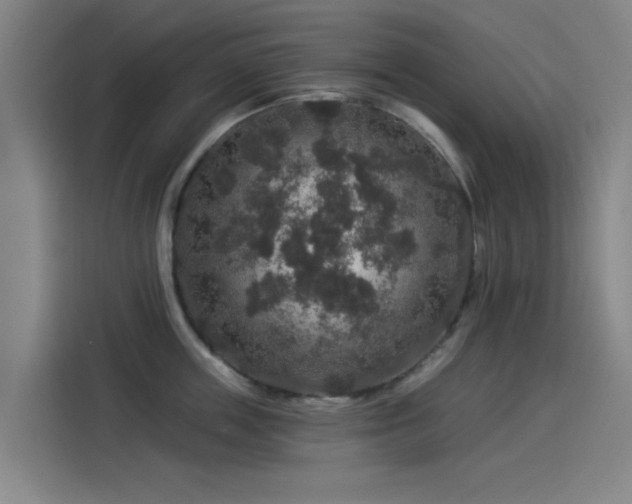 X0000114210859200910161246