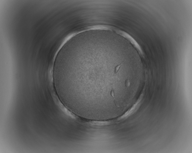 X0000114210860200910161246