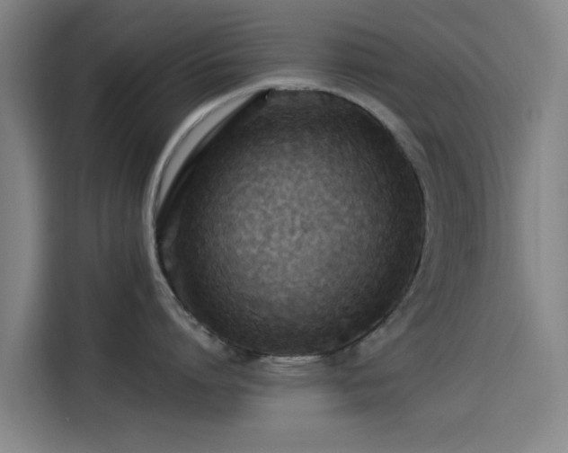 X0000114210864200910161246