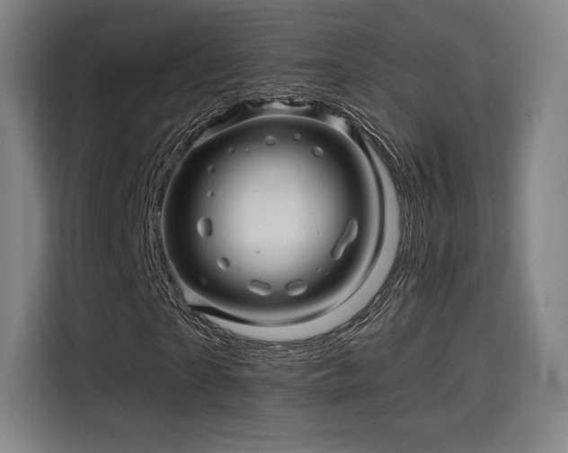 X0000114210865200910161245