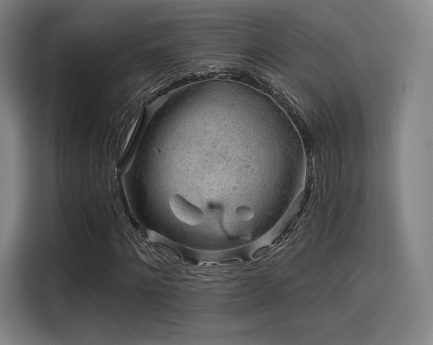 X0000114210868200910161245