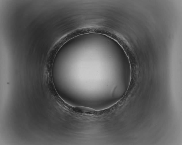 X0000114210872200910161245