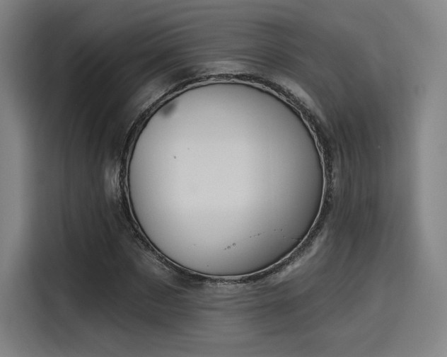 X0000114210873200910161245