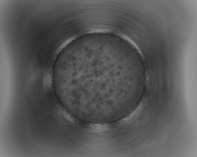 X0000114210874200910161245