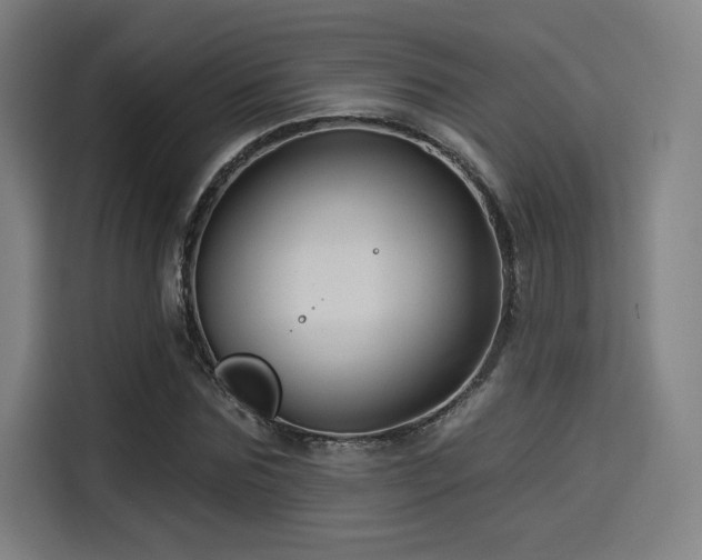 X0000114210875200910161245