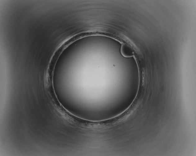 X0000114210876200910161245