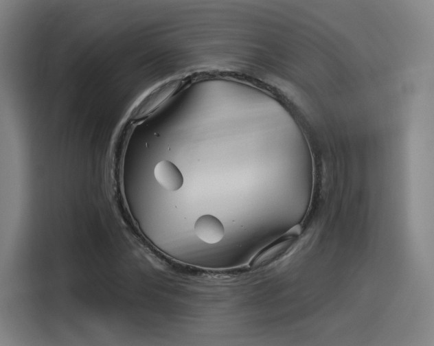 X0000114210878200910161245