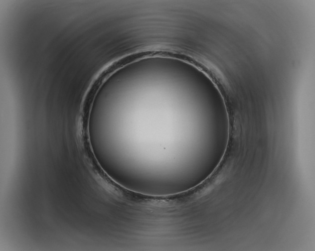 X0000114210880200910161245