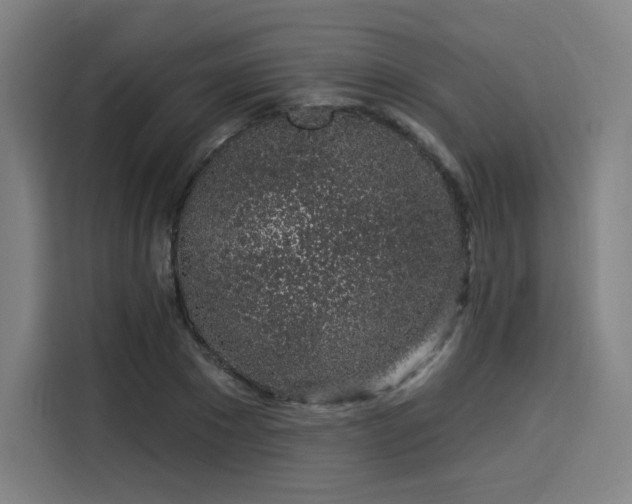 X0000114210881200910161245