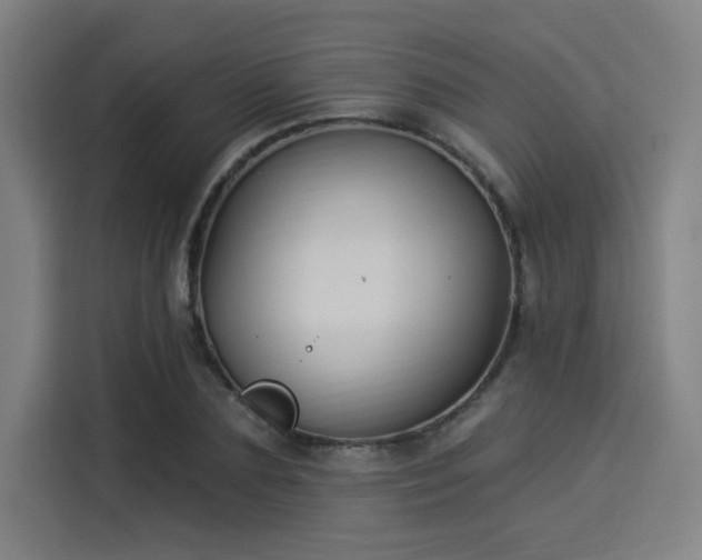 X0000114210883200910161245