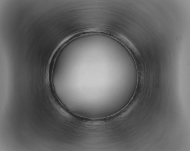 X0000114210884200910161245