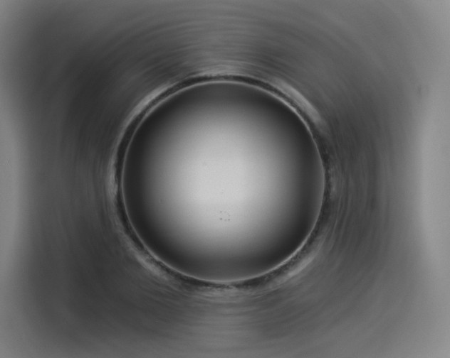 X0000114210885200910161245