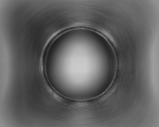 X0000114210888200910161245