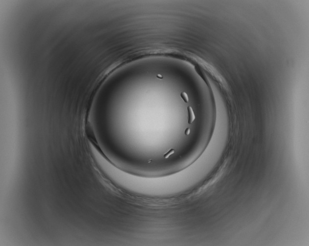 X0000114210889200910161245