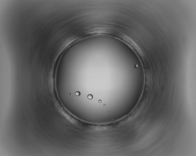 X0000114210890200910161245