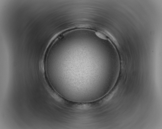 X0000114210891200910161245