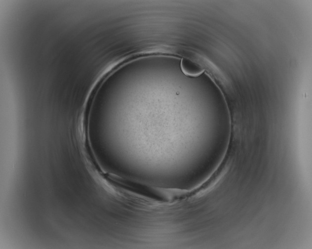 X0000114210892200910161245