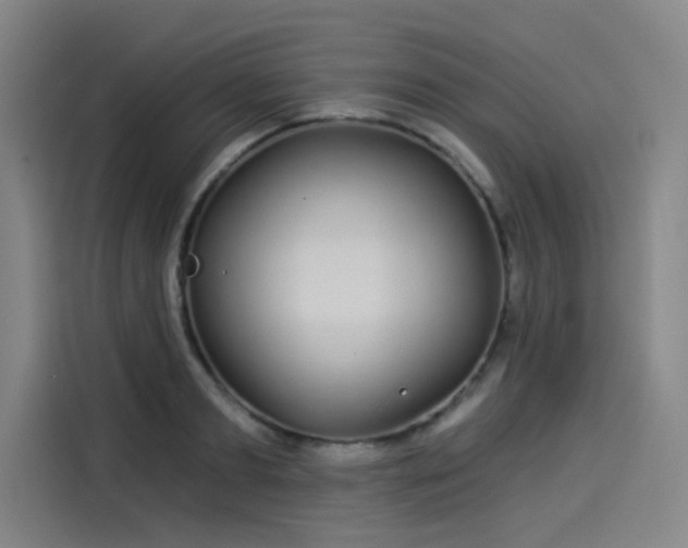 X0000114210893200910161245