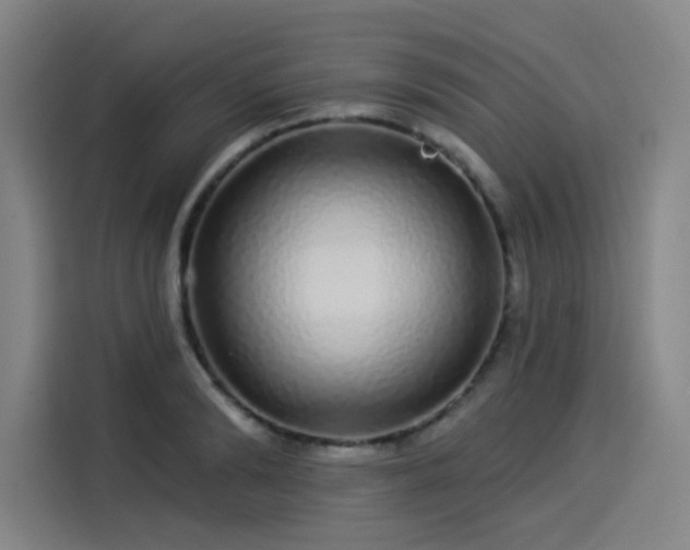 X0000114210894200910161245