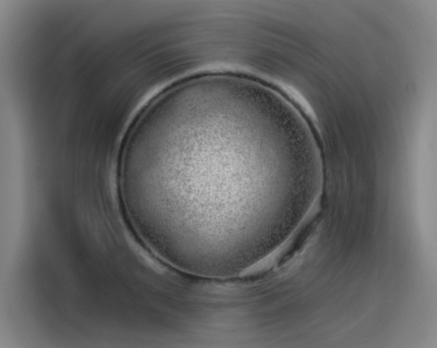 X0000114210895200910161245