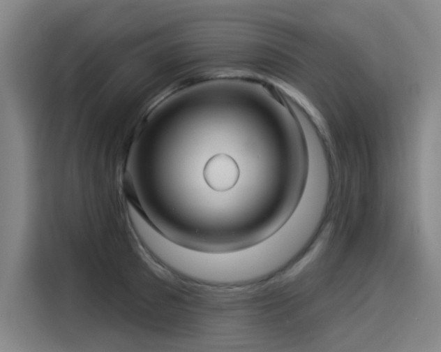 X0000114210897200910161245