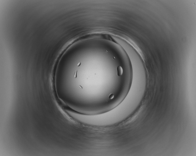 X0000114210901200910161245