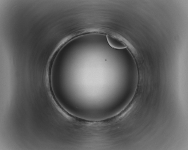 X0000114210902200910161245