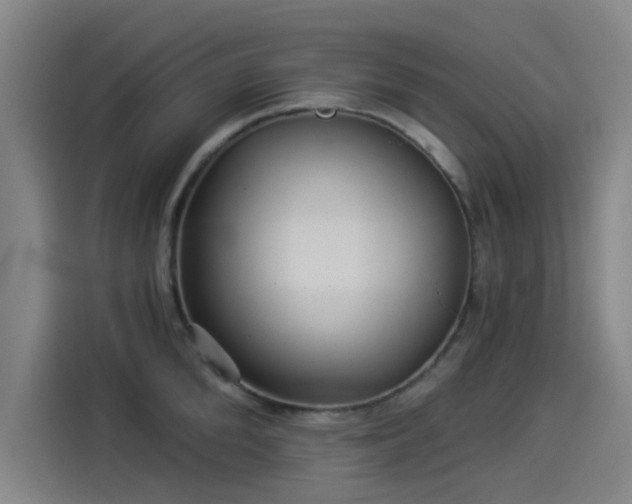 X0000114210904200910161245